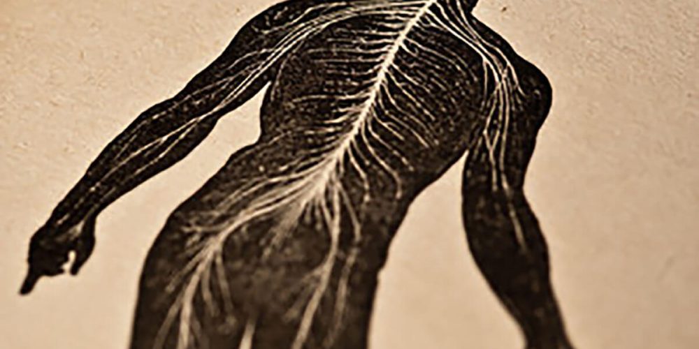 marysia-pstrokonska-anatomy-2