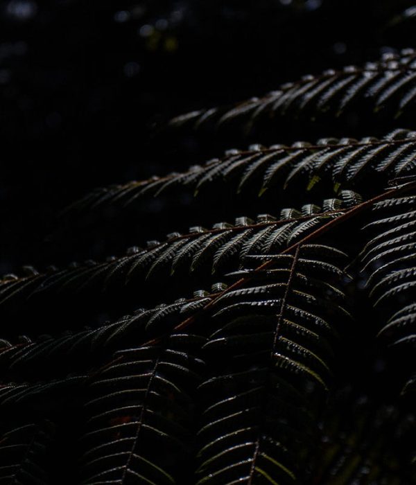 marysia-pstrokonska-nature-1
