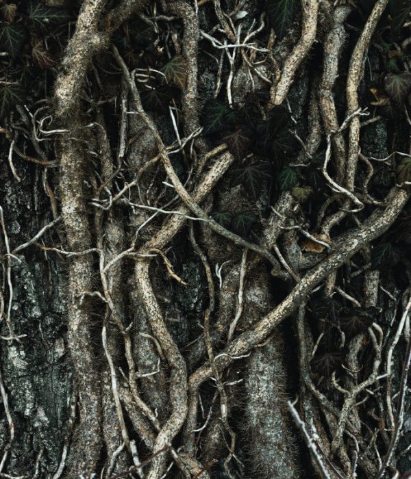 marysiapstrokonska-40