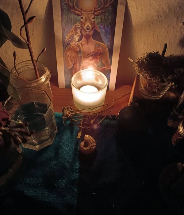 photo_2024-11-28 19.51.47