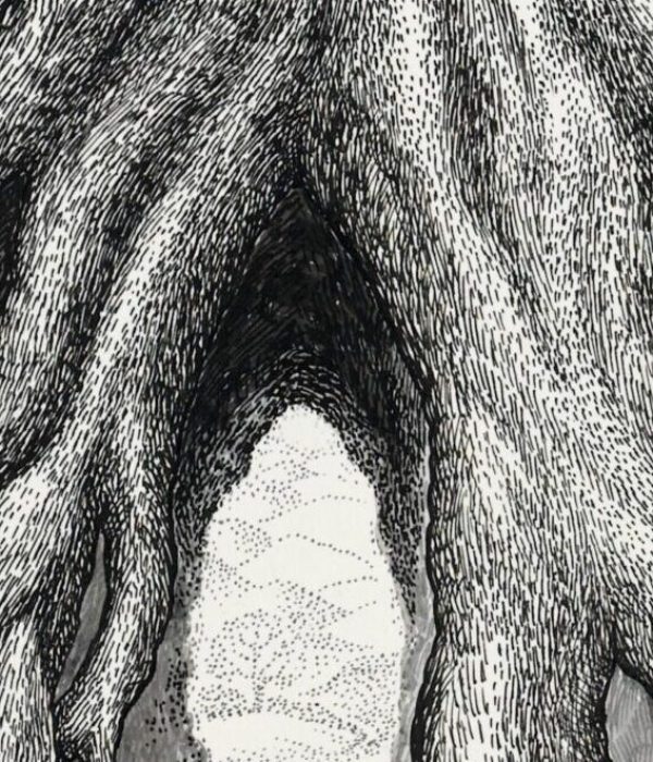 roots