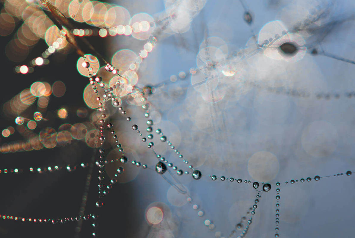 marysia-pstrokonska-pearls-crop