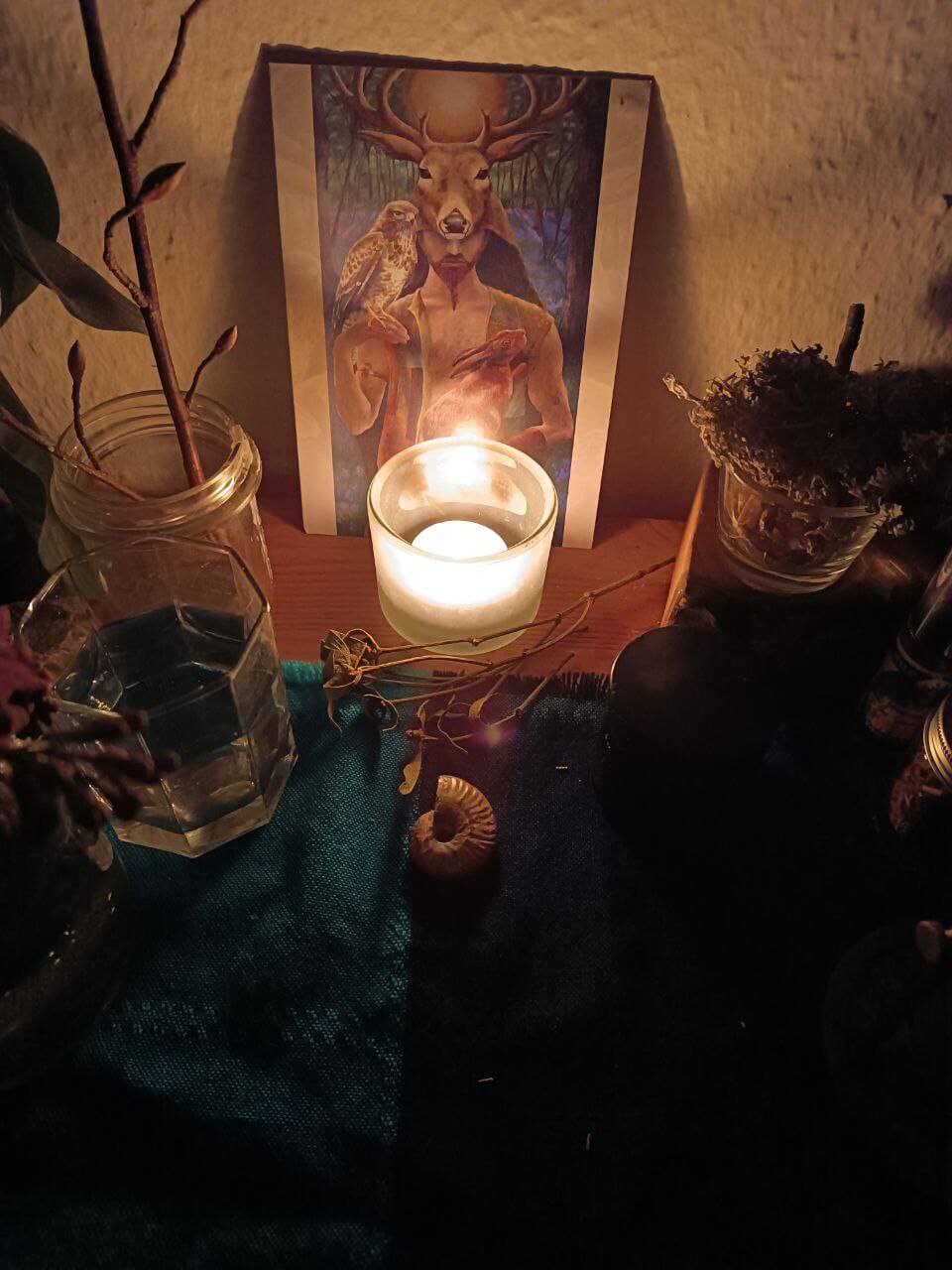 photo_2024-11-28 19.51.47