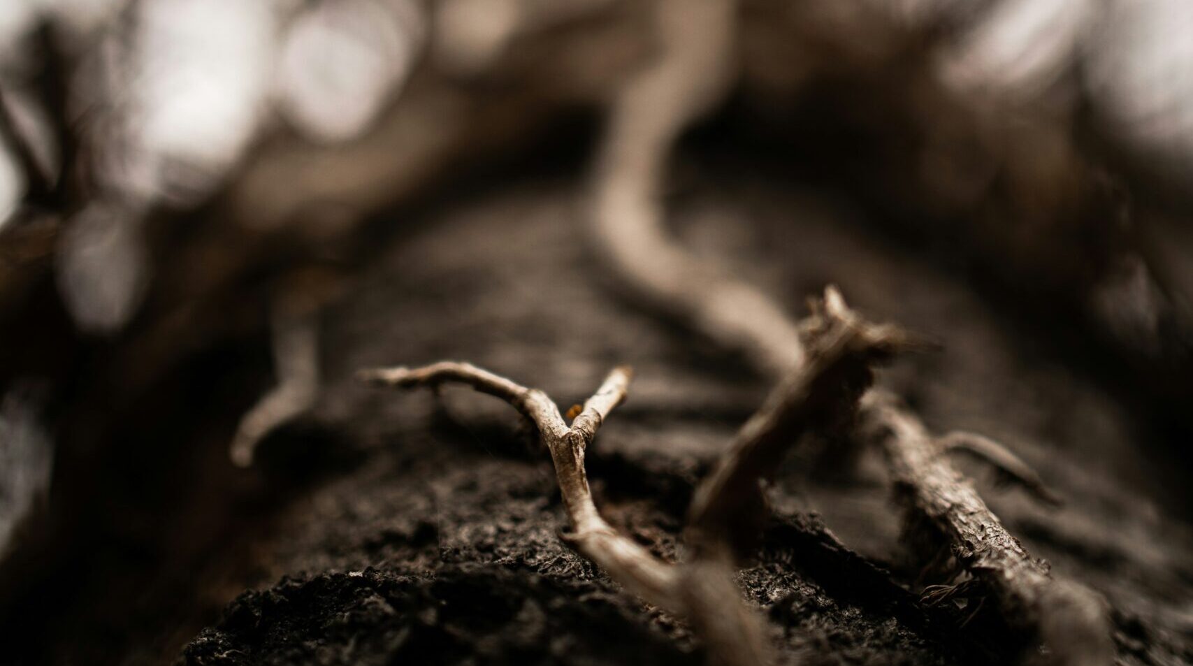 kaja-reichardt-a6eEMhxJVec-unsplash